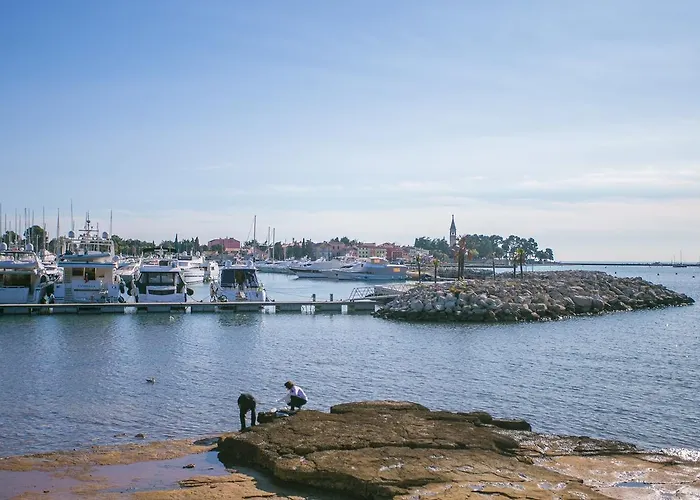 아파트 Morena Novigrad Istria